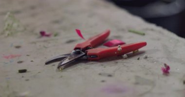 Kırsal kesimlerdeki çiçekçi dükkanının dağınık tezgahında bahçe makası ve çiçek yaprakları.