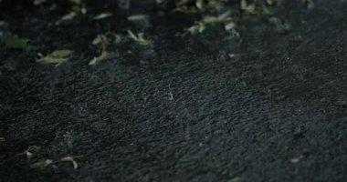 Fırtınalı havalarda ince dalgalanmalar nemli dokulu yüzeyde oluşurken, yağmur damlacıklarının yakın çekimi siyah asfalta çarpar.