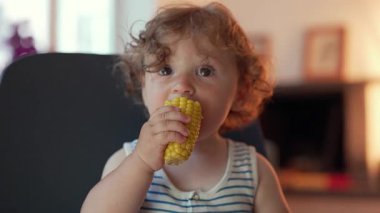 Toddler otururken mısır koçanı tutuyor, yüzüne yemek ve tuhaf ifade ile yukarı bakıyor, arka plan hafifçe bulanık ev içi