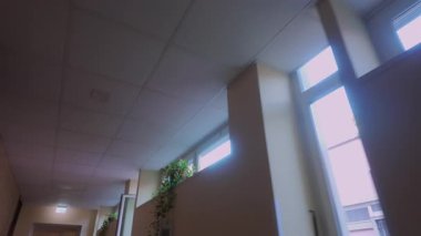 Boş kurumsal koridorda bitkiler ve floresan aydınlatma, bir eğim, klinik atmosfer çağrıştırıyor, bekleme, terk etme ve psikolojik gerilim