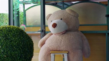 Büyük oyuncak ayı rahat kafenin iç tarafındaki taburede oturuyordu. Kapıya bakıyordu. Arka planda yeşillikler ve çiçekler vardı..