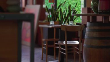 Konforlu restoran içi ahşap sandalyeler, cam eşyalar, saksı bitkileri ve büyük pencerelerden gelen doğal ışık ile döşenmiş masalar.