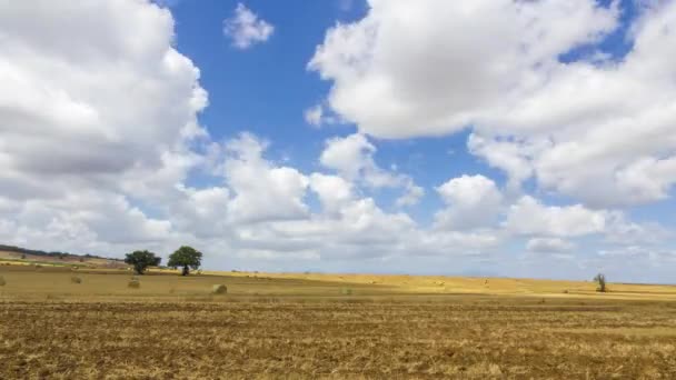 Witte Wolken Bewegen Zich Een Landbouwveld Met Hooibalen Twee Bomen — Stockvideo