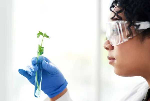 Doskonałe Zdolności Analityczne Kobieta Naukowiec Analizująca Roślinę Swoim Laboratorium — Zdjęcie stockowe