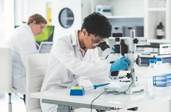 研究室で同僚と顕微鏡を見ている魅力的な若い女性科学者が — ストック写真