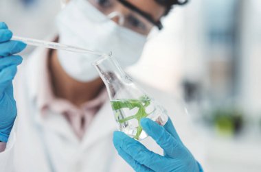 Buraya birkaç damla daha ekleyelim. Tanımlanamayan bir kadın bilim adamı laboratuarda çalışırken bir bitkiyi içeren bir deney şişesine sıvı numunesi atıyor.