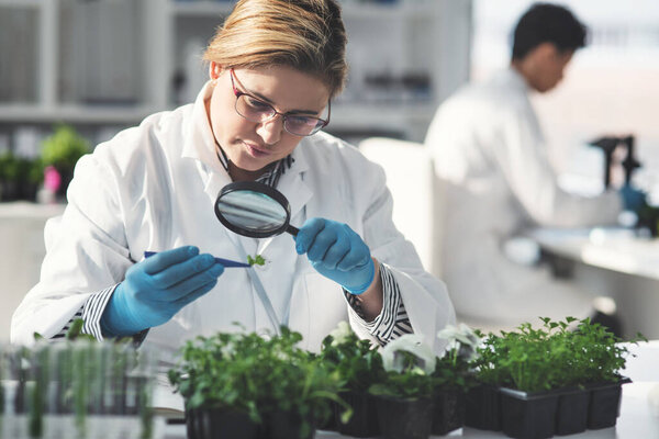 Looks like theres more to discover about this plant. an unrecognizable female scientist analyzing a plant sample using a magnifying glass in a laboratory with her colleague in the background