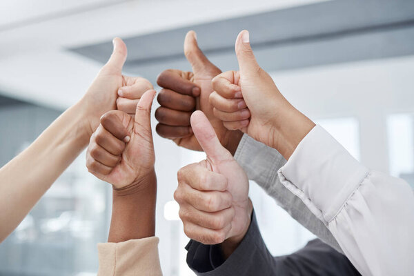 Thumbs up, team and success hand sign to show work community, solidarity and thank you. Office business collaboration, teamwork and yes hands gesture of people with diversity together in agreement.