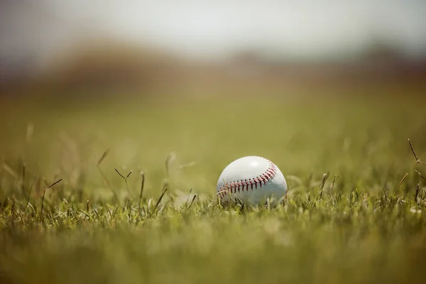 Baseball, pitch and sports ball on grass on an outdoor field for a game, training or practice. Softball, sport and closeup of equipment for match, practicing or exercise in nature at outside stadium
