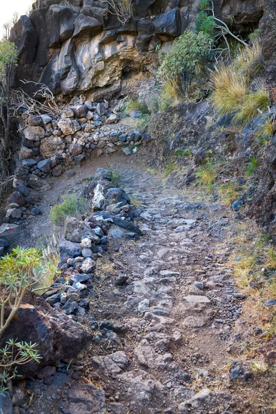 Mountain Trails Palma Canary Islands Mountain Trails Palma West Coast — 스톡 사진