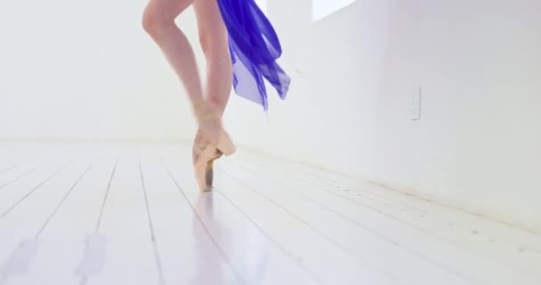 Ballerina Donna Fare Performance Con Scarpe Ballo Allenamento Buon Divertimento — Video Stock