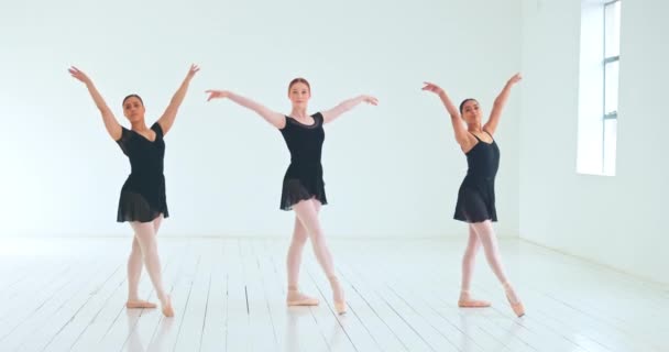 Zespół Baletowy Kobiet Szkolenia Występy Przygotowania Taniec Praktyka Rutynowa Studio — Wideo stockowe