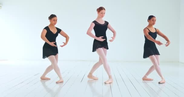 Ballet Dançarina Grupo Treinamento Estúdio Para Performance Dança Uma Academia — Vídeo de Stock
