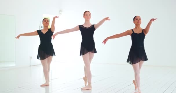 Studio Danza Danza Donne Creative Praticano Elegante Routine Danza Recital — Video Stock