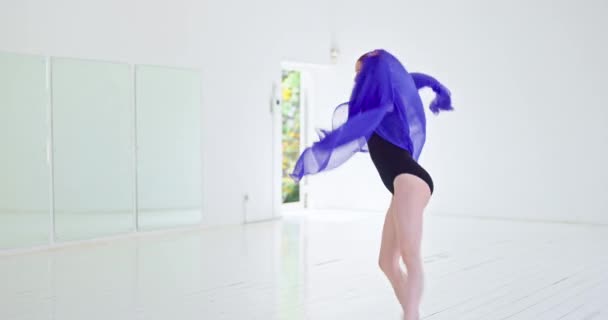 댄서들 스튜디오에서 훈련받고 있습니다 발레리나 예술가 센터에서 일하는 발레리나의 경쟁적 — 비디오