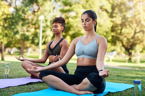 屋外で瞑想するようなものはありません 隣に座って公園で瞑想している2人の魅力的な若い女性の完全な長さのショット — ストック写真