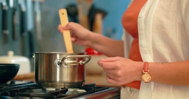 Stahltopf Küche Und Kochen Von Frauenhänden Mit Dampf Zum Abendessen — Stockvideo