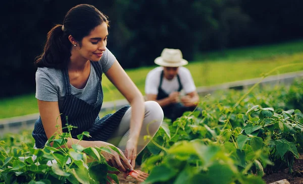 Садівництво Одне Найчистіших Задоволень Яке Може Запропонувати Життя Молода Жінка — стокове фото