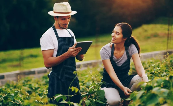 获取了他们可能需要的所有农业信息 一对年轻夫妇在花园工作时一起使用数码平板电脑 — 图库照片