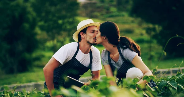 Trädgårdsskötsel Tillsammans Ett Kärlekens Verk Ett Kärleksfullt Ungt Par Som — Stockfoto