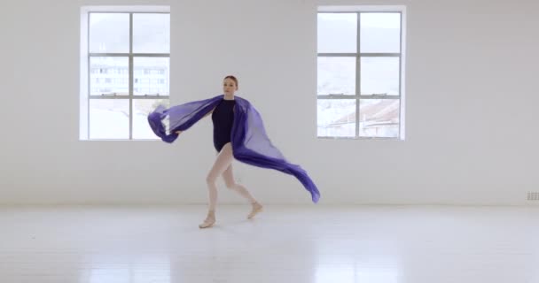 Bale Kadın Balerin Gösteri Dans Okulu Akademi Eğitimi Alırken Stüdyoda — Stok video