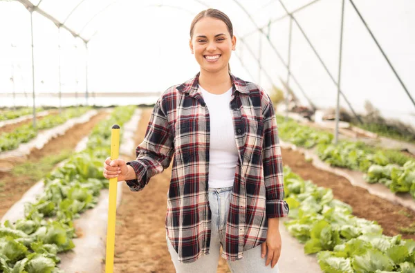 Çiftlik Portre Çiftçi Kadın Bir Serada Ürün Tarım Için Bahçede — Stok fotoğraf