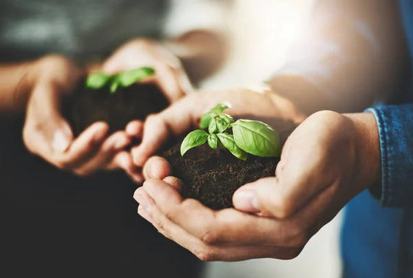 Your business will grow over time. Closeup shot of two unrecognizable businesspeople holding plants growing out of soil