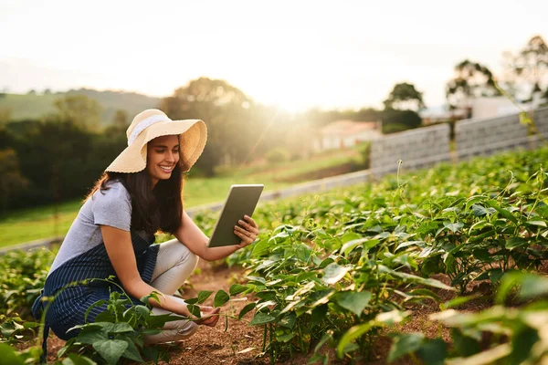 Using technology to manage her farm. an attractive young woman using a tablet while working on her farm