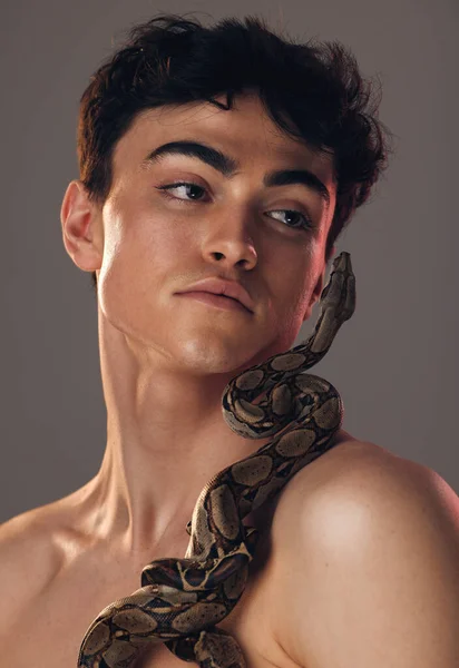 stock image Model, face and man with snake in studio on gray background for beauty, fashion and art. Creative, nature and headshot of young male with reptile on body pose for cosmetics, skincare and body care.