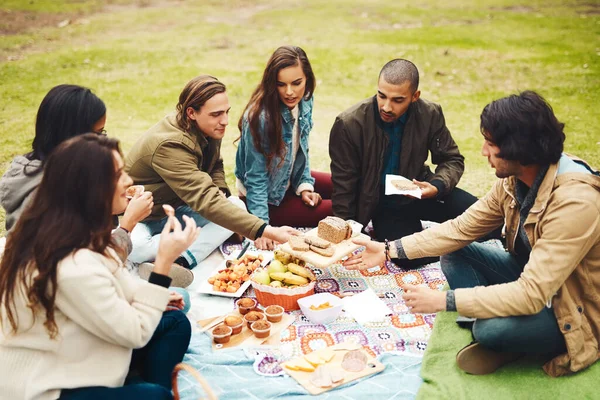 这是一个好主意 一群快乐的年轻朋友 白天一起在公园外面野餐 — 图库照片