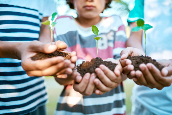 As our plants grow, so do we. Closeup shot of unrecognizable kids holding budding plants