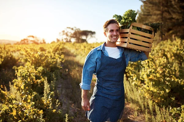 Hes a man on a farming mission. Cropped portrait of a handsome young man holding a crate full of freshly picked produce on a farm