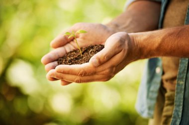 Her tohum yeni bir başlangıçtır. Tanımlanamayan bir çiftçi elinde filizlenen bir toprak yığınını tutuyor.