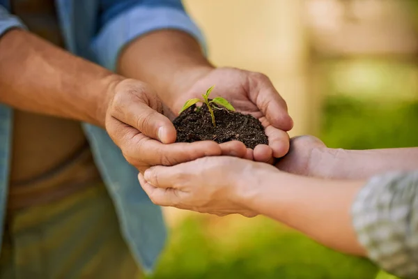 Green Color Hope Two Unidentifiable Farmers Holding Pile Soil Seedling — Stock Photo, Image