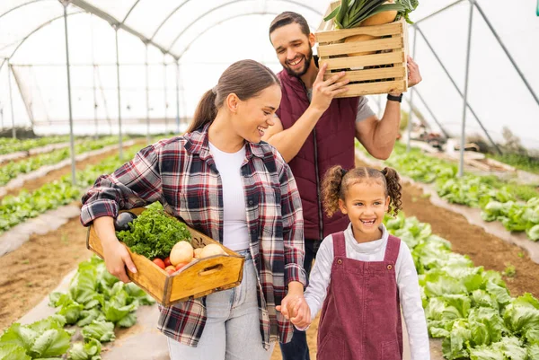 Food, health and agriculture with family on farm for spring, sustainability and growth. Agro, help and plant with mother and father farmer and girl bonding with vegetables box for garden lifestyle.