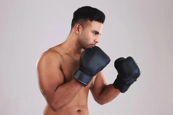 Fitness, boxing gloves and sports man ready for exercise, training and workout in studio for health, wellness and sport. Male motivation to box, fight and hit for energy, competition and inspiration.