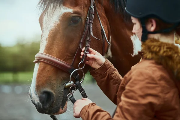 Time Giddy Teenage Girl Preparing Ride Her Pony Farm — Stock Photo, Image