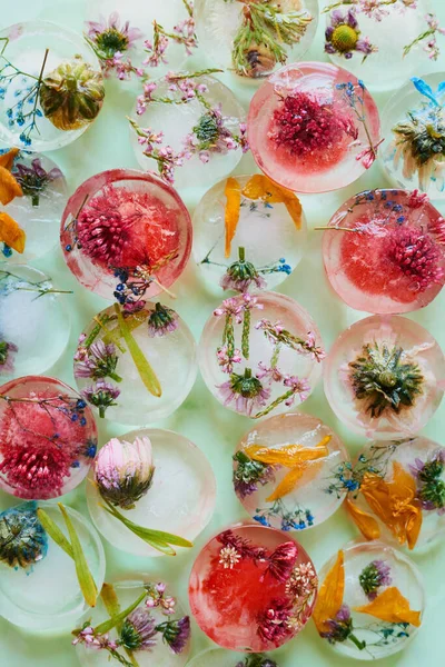Transformez Des Cubes Ordinaires Beaux Rafraîchissements Plan Studio Fleurs Congelées — Photo