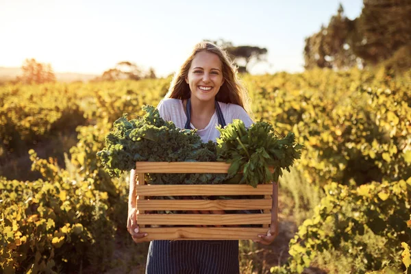 在农业领域取得长足进步 一个有魅力的年轻女子拿着一板条箱新鲜采摘的农产品的剪影 — 图库照片