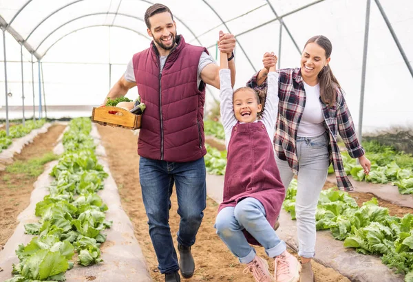 Farmer family, play with child and greenhouse farming swing daughter on organic lettuce farm with love. Playful family bonding, sustainable agriculture and healthy growth of summer harvest vegetables.