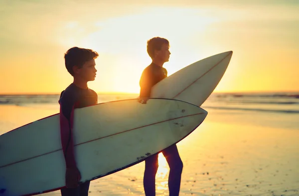 让大海让你自由两个弟弟举着冲浪板向大海望去 — 图库照片