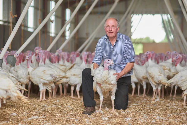 This one is called after my middle name. Portrait of a cheerful mature farmer kneeling and holding a young turkey with more turkeys in the background of a barn