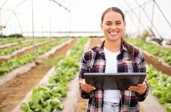 Digital tablet, vegetable farmer and sustainable organic lettuce crop, healthy harvest and farming sustainability. Modern farm, planning and modern agriculture technology to monitor veg growth health.