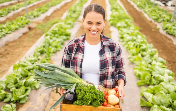 女人拿着一盒蔬菜和农业 农民面带微笑 新鲜收获在可持续的农场上 有机蔬菜和原生营养食品 自然和室外可持续性 — 图库照片