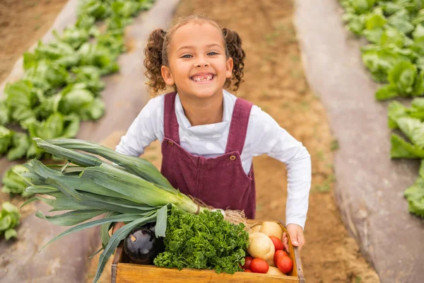 在收获季节 与在温室工作的女孩在一起的孩子 农场和蔬菜 在农业用地从事有机耕作的一名女童的肖像 子女和可持续性 — 图库照片