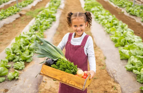 Landbouw Boerderij Box Met Groenten Kind Glimlach Portret Voor Landbouw — Stockfoto