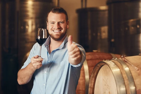 This ones a winner. Cropped portrait of a handsome young man giving thumbs up while enjoying wine tasting in his distillery