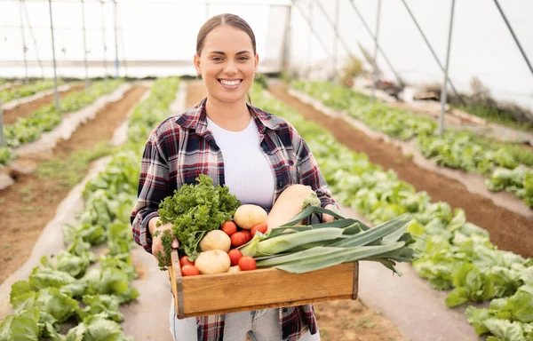 Broeikas Container Boer Oogsten Groenten Voor Milieuvriendelijke Landbouw Voedingsdeskundige Levensstijl — Stockfoto