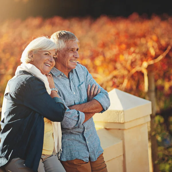 Som Älskar Djupt Åldras Aldrig Ett Lyckligt Äldre Par Beundrar — Stockfoto