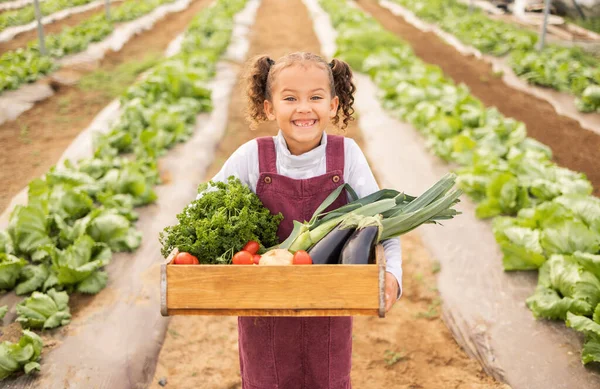 农场上的儿童 女童或蔬菜集装箱在农业出口 可持续收获或自然环境方面的成功 微笑肖像 快乐的孩子和农作物 绿叶植物或保健食品 — 图库照片